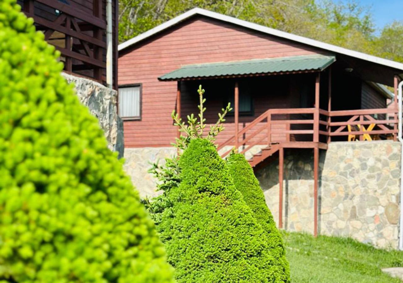 Deluxe Park Qusar Resort & Spa Hotel Buitenkant foto